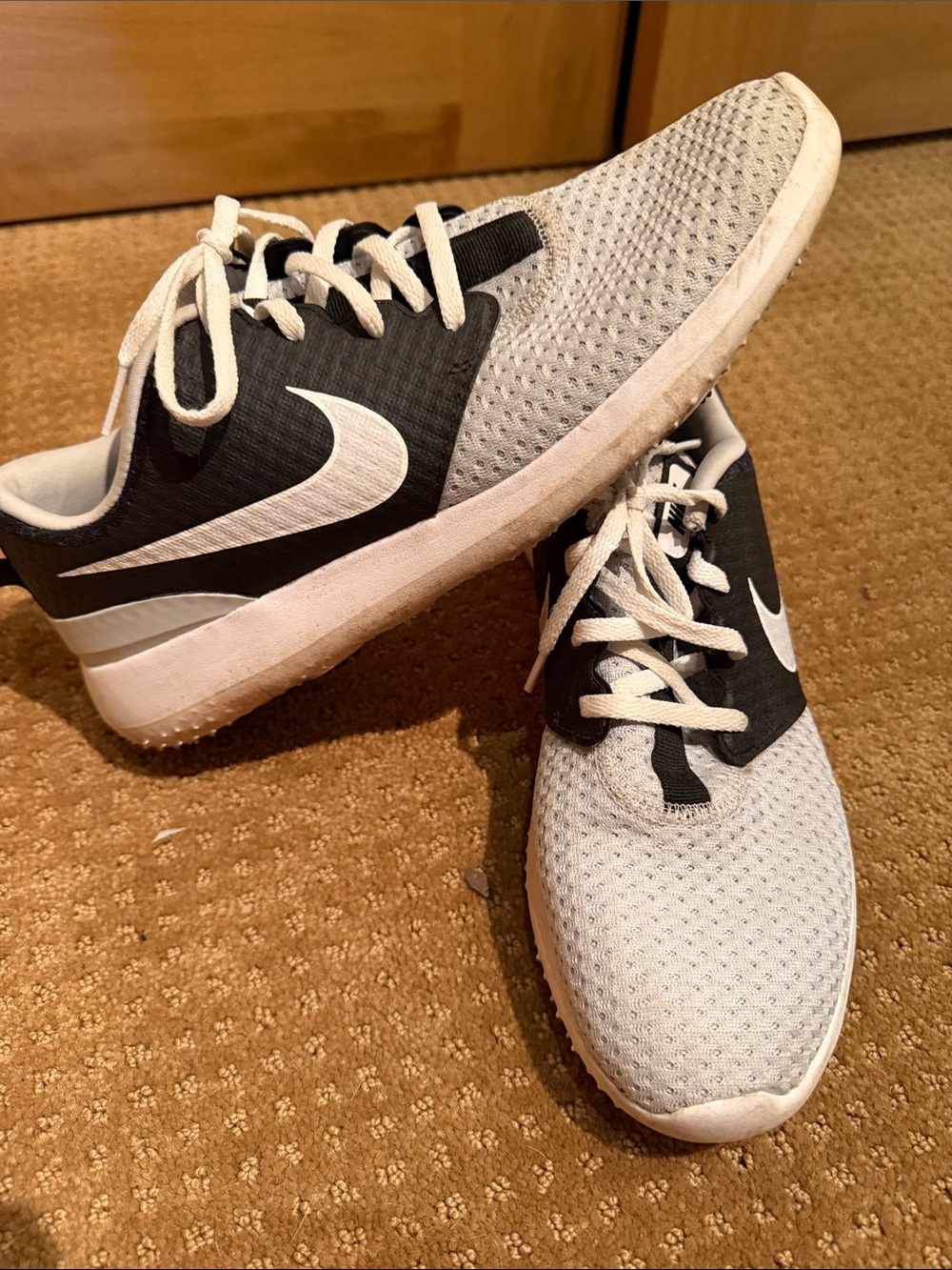 Nike Golf Shoes
